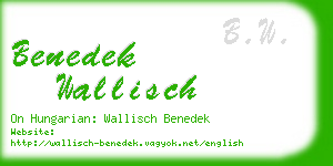 benedek wallisch business card